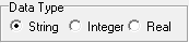 DataTypeRadio