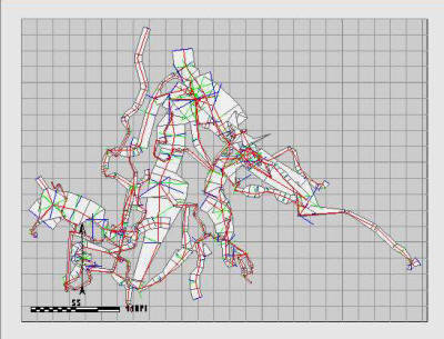 EARTH :: GEOGRAPHY :: CARTOGRAPHY :: COMPASS CARD image - Visual Dictionary  Online