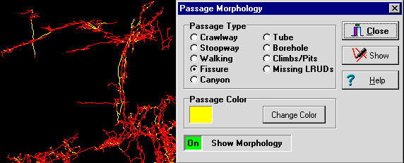 Morphology